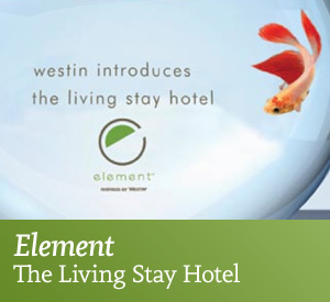 Element