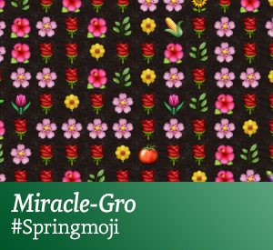 Miracle-Gro